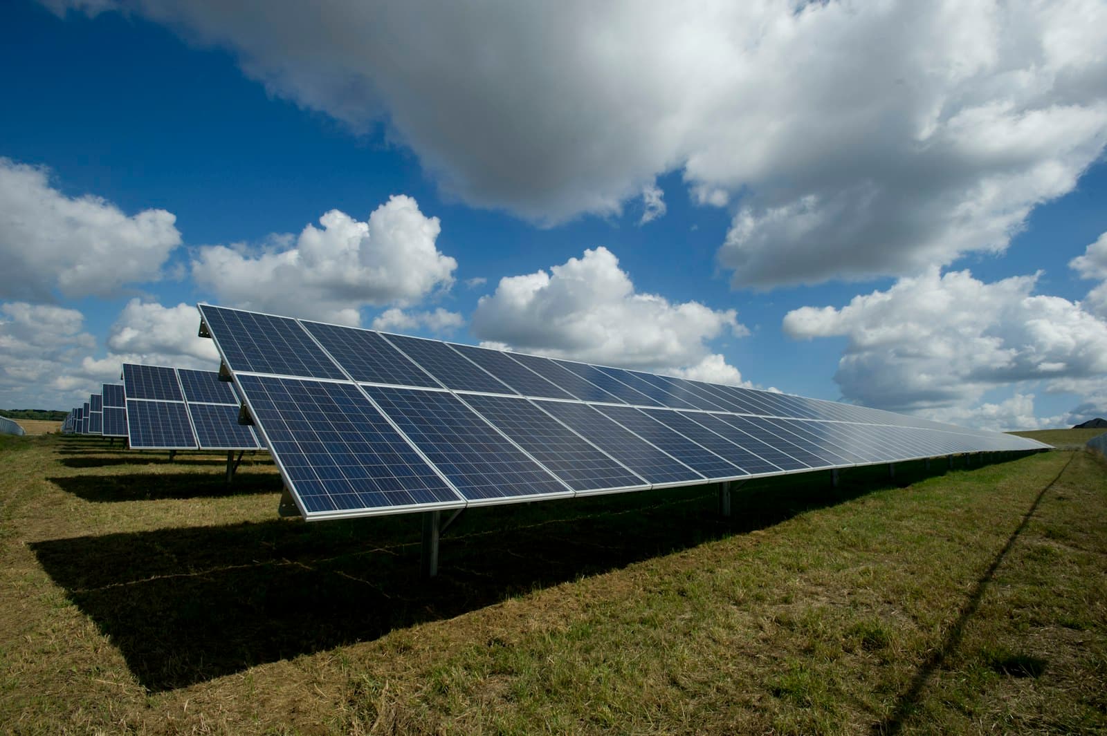 A ground-mounted solar array.